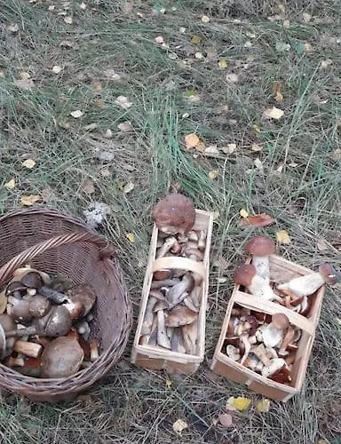 Gaestehaus Lägenhet